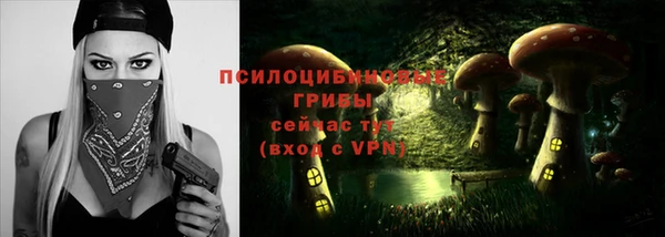 спиды Арсеньев