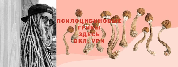 гидра Аркадак