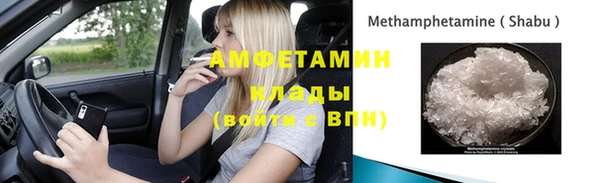 гидра Аркадак