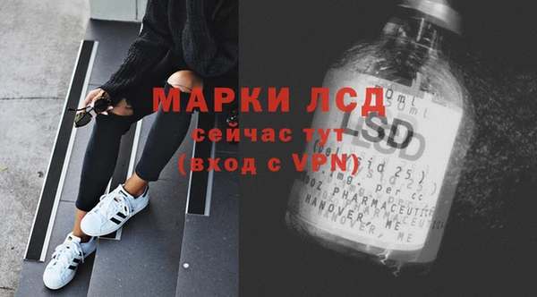 гидра Аркадак